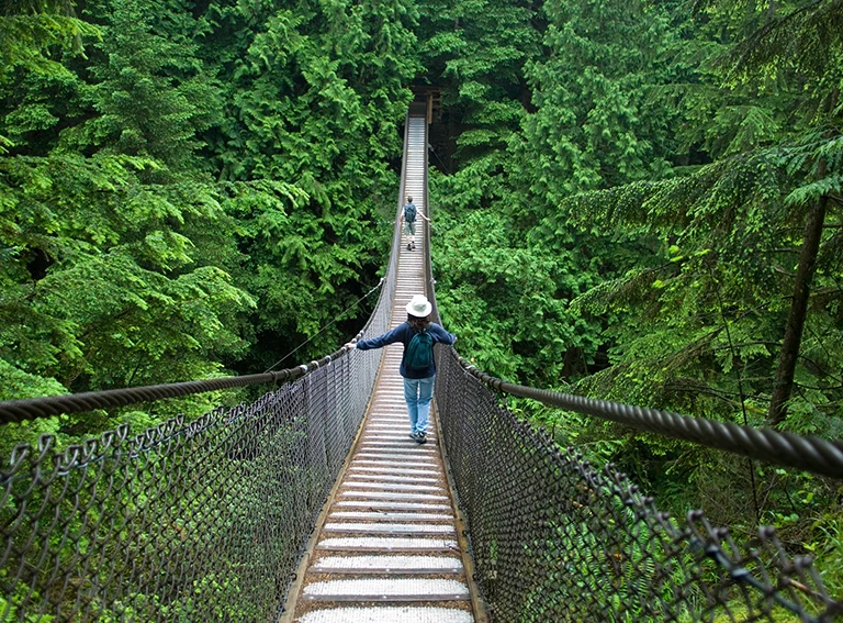 most w lesie